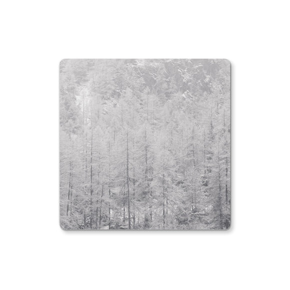 Snow Covered Trees Coaster - Arte Della Fotografia