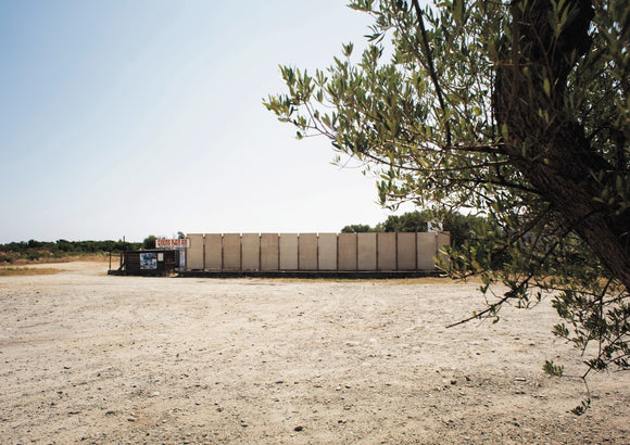 Olive Tree at the Plein Air Cinema - Corsica Collection