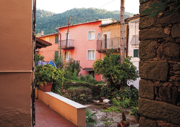 Colourful Courtyard