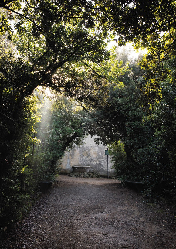 Light Streaks in Boboli Gardens - Tuscany Collection