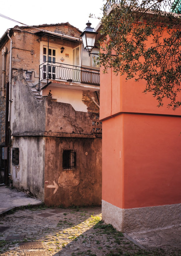 Olive Tree and Buildings