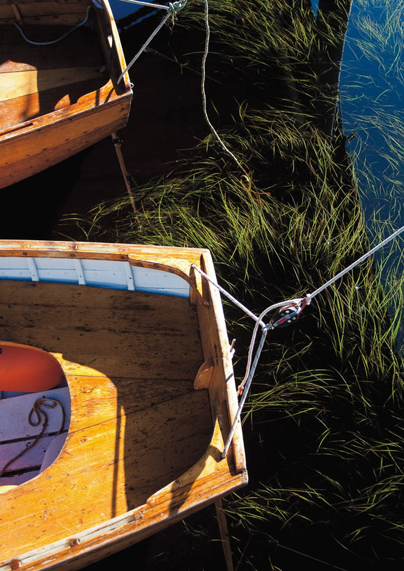 Boats and Reeds