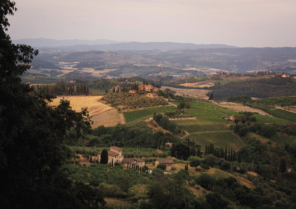 Tuscan Countryside - Tuscany Collection