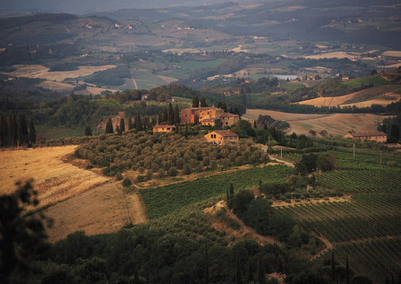 Villa on the Hill - Tuscany Collection