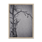 Snow Storm Three Framed Print