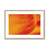 Fire Flower Framed & Mounted Print - Arte Della Fotografia