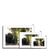 Tree Corridor in Boboli Gardens - Tuscany Collection  Framed & Mounted Print