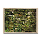 Moss Covered Wall of San Martino  Framed Print