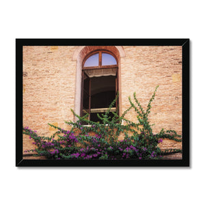 Window and Bougainvillea  Framed Print