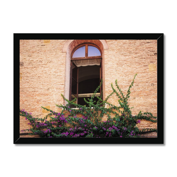 Window and Bougainvillea  Framed Print