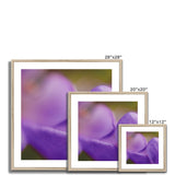 Native Australian Flora - Purple    Framed & Mounted Print - Arte Della Fotografia