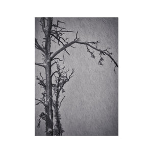 Snow Storm Three Fine Art Print