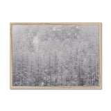 Snow Covered Trees Framed Print - Arte Della Fotografia