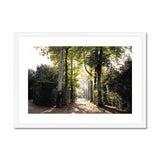 Tree Corridor in Boboli Gardens - Tuscany Collection  Framed & Mounted Print