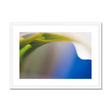 Lily and Blue Framed & Mounted Print - Arte Della Fotografia