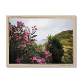 Monterosso Headland Through Flowers - Cinque Terre Collection Framed Print