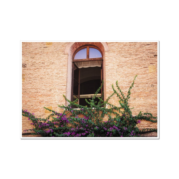 Window and Bougainvillea  Fine Art Print