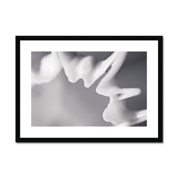 Shell Detail Three Framed & Mounted Print - Arte Della Fotografia