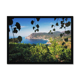 Monterosso Through The Vines - Cinque Terre Collection Framed Print