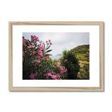 Monterosso Headland Through Flowers - Cinque Terre Collection Framed & Mounted Print