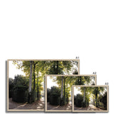 Tree Corridor in Boboli Gardens - Tuscany Collection  Framed Print