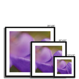 Native Australian Flora - Purple    Framed & Mounted Print - Arte Della Fotografia