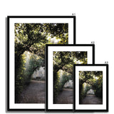 Light Streaks in Boboli Gardens - Tuscany Collection Framed & Mounted Print