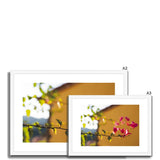 Bougainvillea on Yellow Framed & Mounted Print