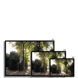 Tree Corridor in Boboli Gardens - Tuscany Collection  Framed Print