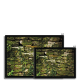 Moss Covered Wall of San Martino  Framed Print