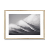 Shell Detail Two Framed & Mounted Print - Arte Della Fotografia