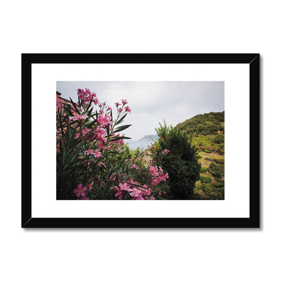 Monterosso Headland Through Flowers - Cinque Terre Collection Framed & Mounted Print