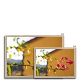 Bougainvillea on Yellow Framed Print