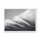 Shell Detail Two Framed Print - Arte Della Fotografia