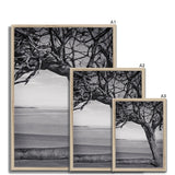 Right-Angled Tree Framed Print - Arte Della Fotografia