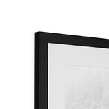 Snow Covered Trees Framed & Mounted Print - Arte Della Fotografia