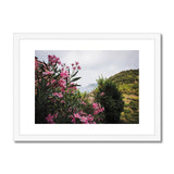 Monterosso Headland Through Flowers - Cinque Terre Collection Framed & Mounted Print