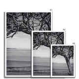 Right-Angled Tree Framed Print - Arte Della Fotografia