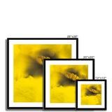 Australian Native Flora - Yellow Framed & Mounted Print - Arte Della Fotografia