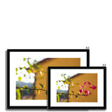 Bougainvillea on Yellow Framed & Mounted Print