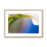 Lily and Blue Framed & Mounted Print - Arte Della Fotografia