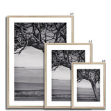 Right-Angled Tree Framed & Mounted Print - Arte Della Fotografia