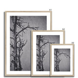 Snow Storm Three Framed & Mounted Print