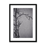 Snow Storm Three Framed & Mounted Print