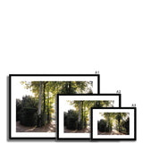 Tree Corridor in Boboli Gardens - Tuscany Collection  Framed & Mounted Print