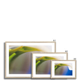 Lily and Blue Framed & Mounted Print - Arte Della Fotografia