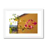 Bougainvillea on Yellow Framed & Mounted Print