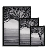 Right-Angled Tree Framed Print - Arte Della Fotografia