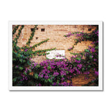 Street Sign and Bougainvillea - Tuscany Collection Framed Print