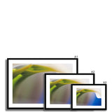 Lily and Blue Framed & Mounted Print - Arte Della Fotografia